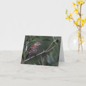 Brown Thrasher - Joe Sweeney - Karte (Gelbe Blume)