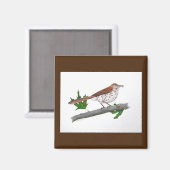 Brown Thrasher Magnet (Vorderseite/Rückseite)