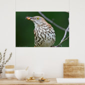 Brown Thrasher mit/Catch of the Day Poster (Küche)