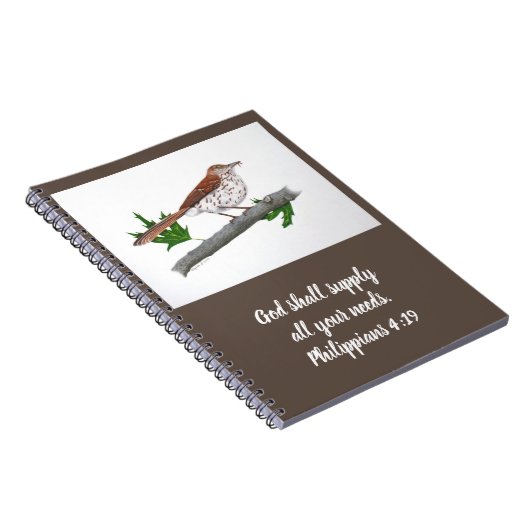 Brown Thrasher-Notebook Notizblock (Rechte Seite)