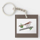 Brown Thrasher Schlüsselanhänger (Vorderseite)