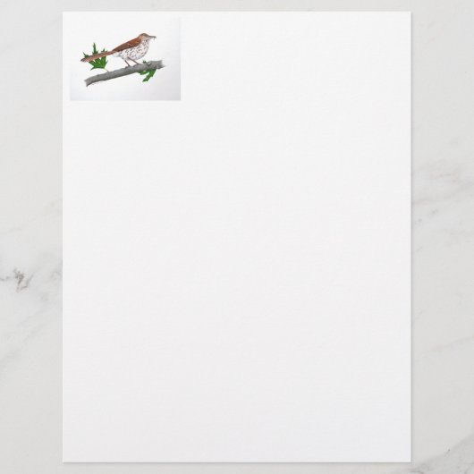 Brown Thrasher Stationery Briefbogen (Vorderseite)