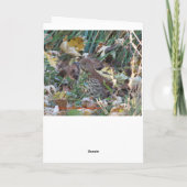 Brown Thrasher, Sunshine Karte (Rückseite)