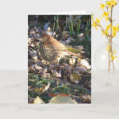 Brown Thrasher, Sunshine Karte (Gelbe Blume)