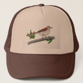 Brown Thrasher Trucker Hut Truckerkappe (Vorderseite)