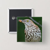 Brown Thrasher w/Catch of the Day Geschenke Beklei Button (Vorne & Hinten)