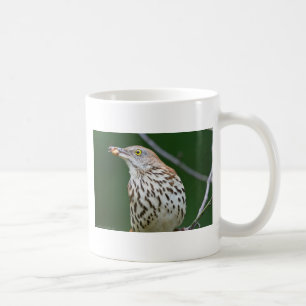 Brown Thrasher w/Catch of the Day Geschenke Beklei Kaffeetasse