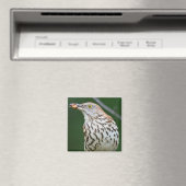 Brown Thrasher w/Catch of the Day Geschenke Beklei Magnet (In Situ (Geschirrspüler))