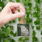 Brown Thrasher w/Catch of the Day Geschenke Beklei Schlüsselanhänger (Hand)