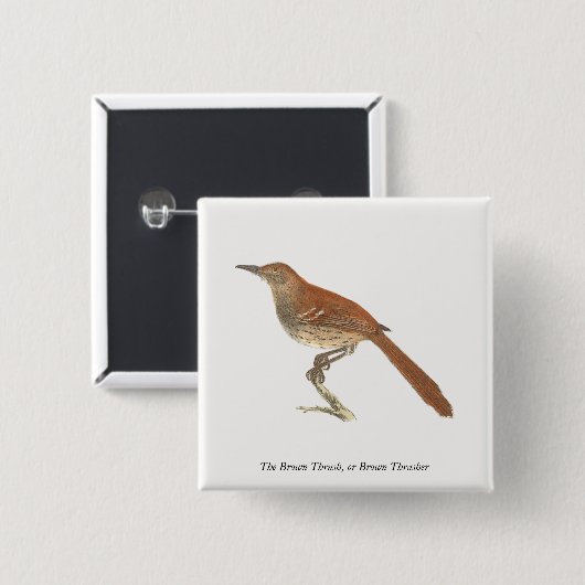Brown Thrush oder Brown Thrasher, New Yorker Vögel Button (Vorne & Hinten)