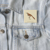 Brown Thrush oder Brown Thrasher, New Yorker Vögel Button (Beispiel)