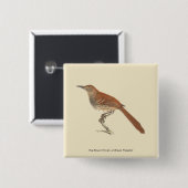 Brown Thrush oder Brown Thrasher, New Yorker Vögel Button (Vorne & Hinten)