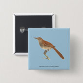 Brown Thrush oder Brown Thrasher, New Yorker Vögel Button (Vorne & Hinten)
