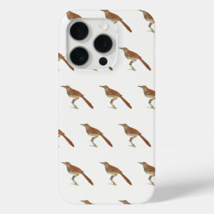 Brown Thrush oder Brown Thrasher, New Yorker Vögel Case-Mate iPhone Hülle