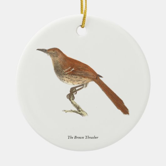 Brown Thrush oder Brown Thrasher, New Yorker Vögel Keramik Ornament (Vorne)