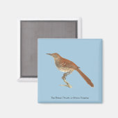 Brown Thrush oder Brown Thrasher, New Yorker Vögel Magnet (Vorderseite/Rückseite)