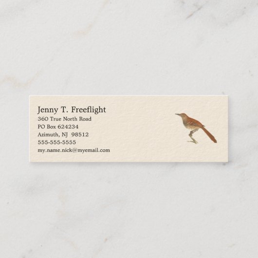 Brown Thrush oder Brown Thrasher, New Yorker Vögel Mini Visitenkarte (Rückseite)