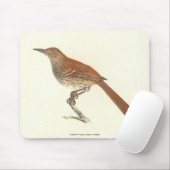 Brown Thrush oder Brown Thrasher, New Yorker Vögel Mousepad (Mit Mouse)