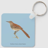 Brown Thrush oder Brown Thrasher, New Yorker Vögel Schlüsselanhänger (Rückseite)