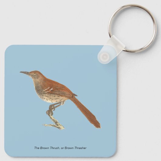 Brown Thrush oder Brown Thrasher, New Yorker Vögel Schlüsselanhänger (Rückseite)