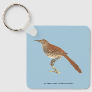 Brown Thrush oder Brown Thrasher, New Yorker Vögel Schlüsselanhänger
