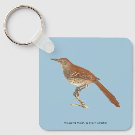 Brown Thrush oder Brown Thrasher, New Yorker Vögel Schlüsselanhänger (Vorderseite)