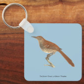 Brown Thrush oder Brown Thrasher, New Yorker Vögel Schlüsselanhänger (Vorderseite)
