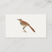 Brown Thrush oder Brown Thrasher, New Yorker Vögel Visitenkarte (Rückseite)