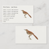 Brown Thrush oder Brown Thrasher, New Yorker Vögel Visitenkarte (Vorne/Hinten)