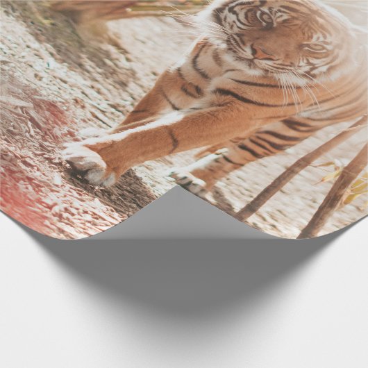BROWN TIGER IN WALKING GESTURE GESCHENKPAPIER (Ecke)