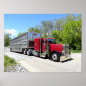 Brown Transport 379 Poster (Vorne)