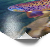 'BROWN TROUT' FOTODRUCK (Ecke)