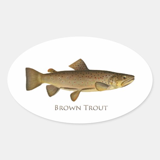 Brown Trout Logo Ovaler Aufkleber (Vorderseite)