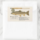 Brown Trout (Salmo trutta) – English Illust Rechteckiger Aufkleber (Tasche)