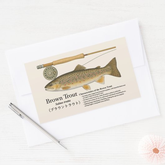 Brown Trout (Salmo trutta) – English Illust Rechteckiger Aufkleber (Umschlag)