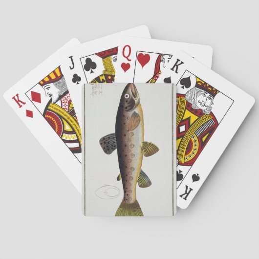 Brown Trout Spielkarten (Rückseite)