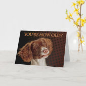 Brown- und Creme-SpringerSpaniel, sind Sie, wie Karte (Gelbe Blume)