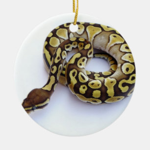 Brown- und Goldball-Pythonschlange 2 Keramik Ornament