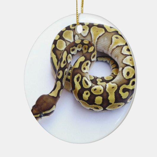 Brown- und Goldball-Pythonschlange 2 Keramik Ornament (Links)