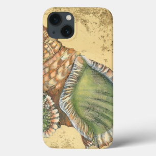 Brown und grüner Seashell Case-Mate iPhone Hülle
