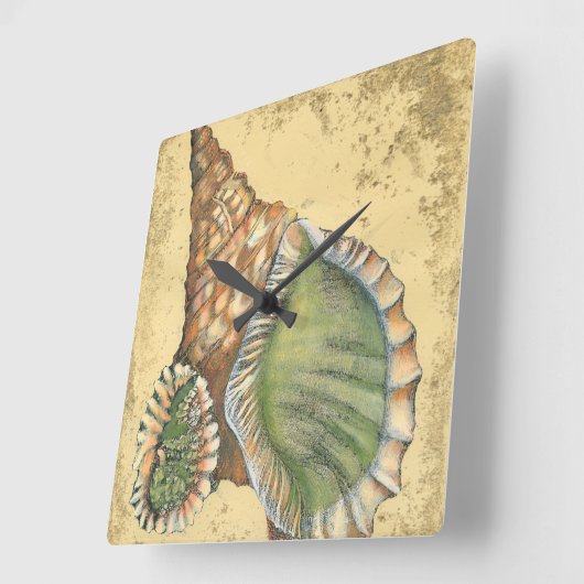 Brown und grüner Seashell Quadratische Wanduhr (Winkel)