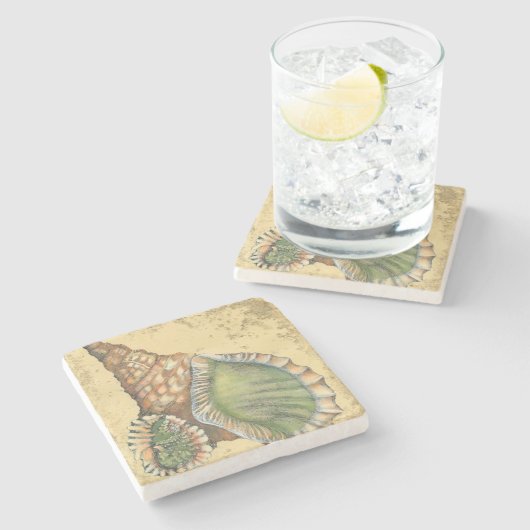 Brown und grüner Seashell Steinuntersetzer (Seitenansicht)