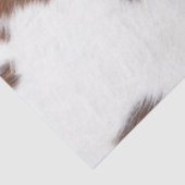 Brown und Weiß Seidenpapier (Ausschnitt)