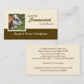 Brown und weiße Simmentalkuh mit Cowbell Visitenkarte (Vorne/Hinten)