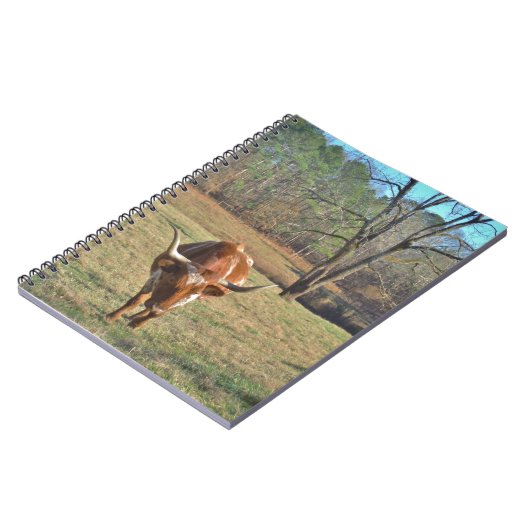 Brown und weißer blauer Himmel Longhorns Stier Notizblock (Linke Seite)