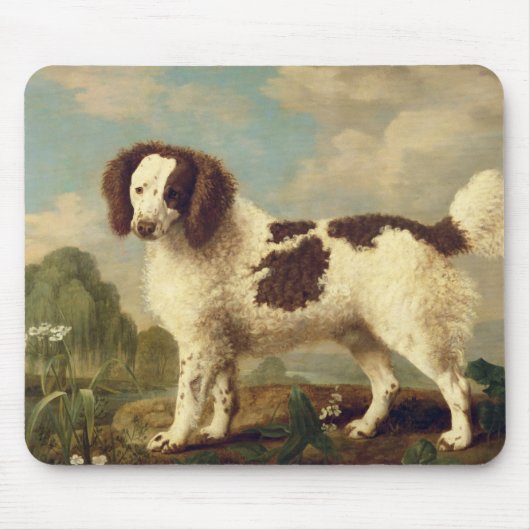 Brown und weißer Norfolk oder WasserSpaniel, 1778 Mousepad (Vorne)
