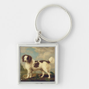 Brown und weißer Norfolk oder WasserSpaniel, 1778 Schlüsselanhänger