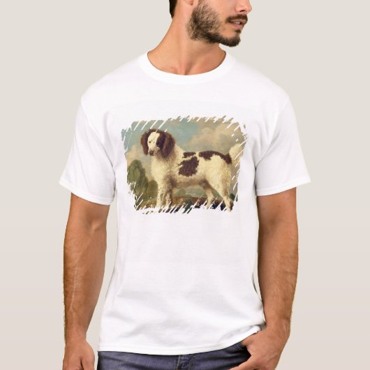 Brown und weißer Norfolk oder WasserSpaniel, 1778 T-Shirt (Vorderseite)