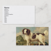 Brown und weißer Norfolk oder WasserSpaniel, 1778 Visitenkarte (Vorne/Hinten)