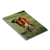 Brown und weißes Longhorn Stier Notizblock (Rechte Seite)